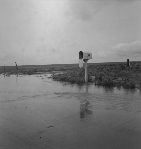 This year (1937) there are floods and heavy rains in the Dust Bowl, Texas, 1937. Creator: Dorothea Lange.