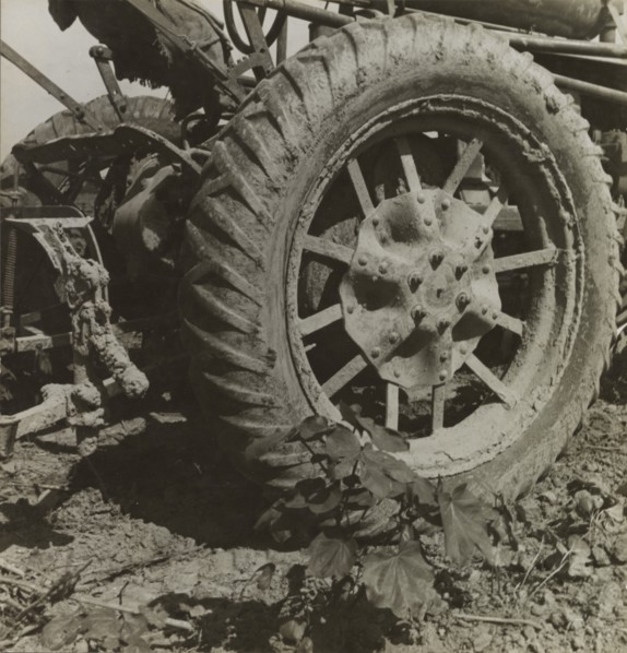 The tractor is driving cotton workers off the land, Aldridge Plantation, Mississippi Delta, 1937. Creator: Dorothea Lange.