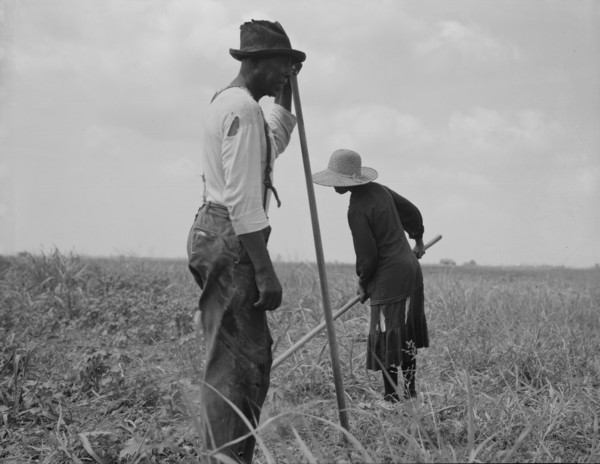 Cotton sharecroppers, Greene County, Georgia, 1937. Creator: Dorothea Lange.