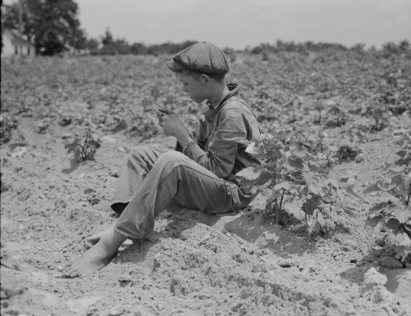 Sharecropper boy near Chesnee, South Carolina, 1937. Creator: Dorothea Lange.