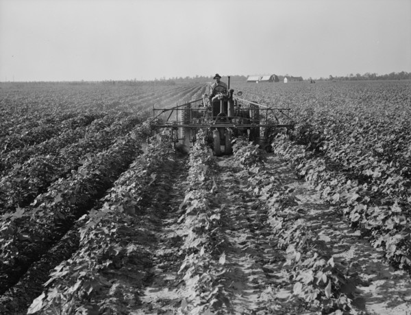 Tractors on Lake Dick project, Arkansas, 1938. Creator: Dorothea Lange.