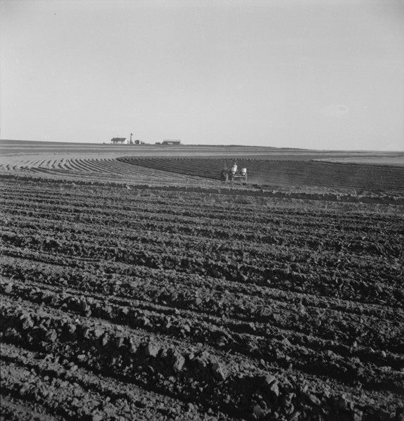 Contour plowing on mechanized farms, Childress County, Texas Panhandle, Texas, 1938. Creator: Dorothea Lange.