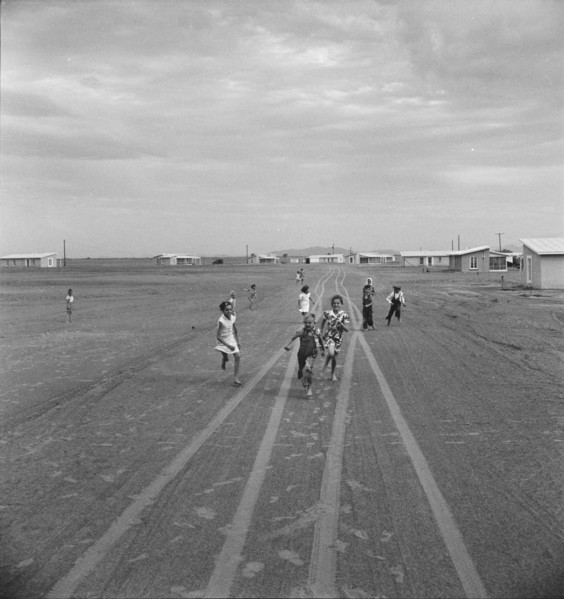 Farm Security Administration Casa Grande project, Arizona, 1938. Creator: Dorothea Lange.