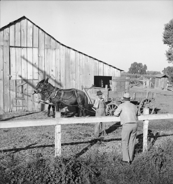Farm Security Administration rural rehabilitation client, Tulare County, California, 1938. Creator: Dorothea Lange.