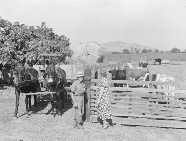 Rural rehabilitation, Tulare County, California, 1938. Creator: Dorothea Lange.