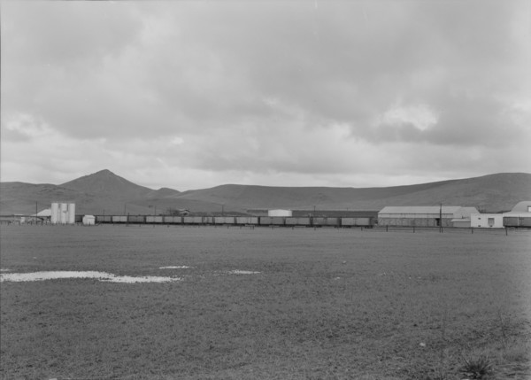 Orange packing shed, Strathmore, California, 1939. Creator: Dorothea Lange.
