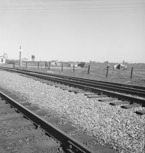 Migrants' tents...along the right of way of the Southern Pacific, near Fresno, CA, 1939. Creator: Dorothea Lange.