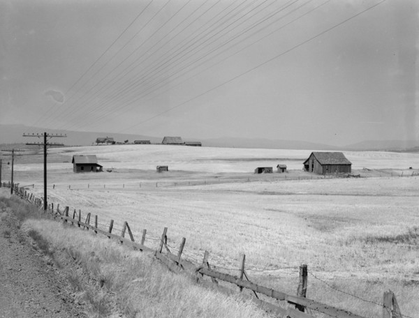 Washington, Klickitat County, near Goldendale, 1939. Creator: Dorothea Lange.