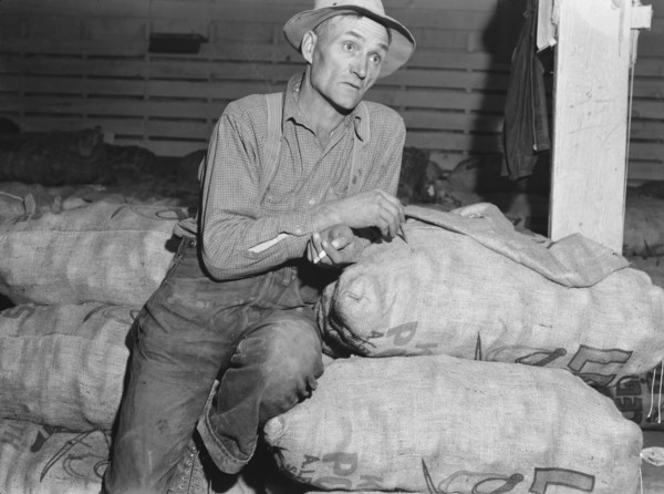 Klamath Basin potato farmer, Tulelake, Siskiyou County, California, 1939. Creator: Dorothea Lange.