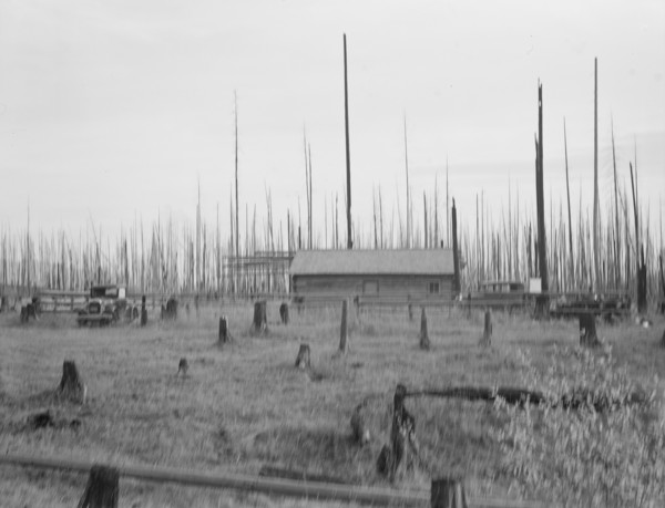 Home of the FSA borrower who moved on this land..., Priest River Peninsula, Idaho, 1939. Creator: Dorothea Lange.