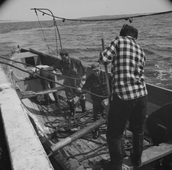 Possibly: On board the fleshing boat Alden, out of Gloucester, Massachusetts, 1943. Creator: Gordon Parks.