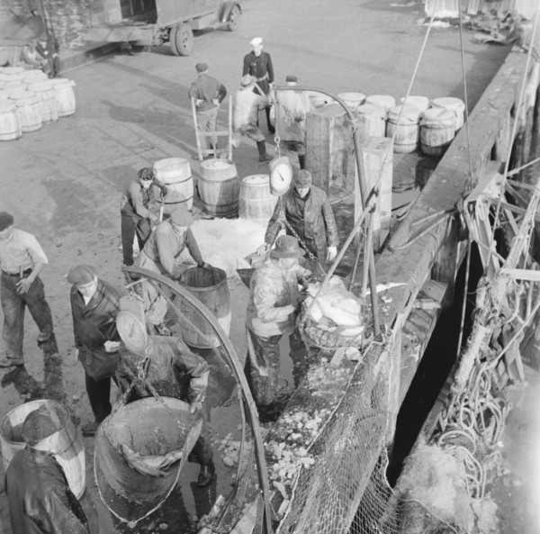 Dock stevedores at the Fulton fish market sending up baskets of fish..., New York, 1943. Creator: Gordon Parks.