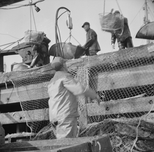 Dock stevedores at the Fulton fish market sending up baskets of fish..., New York, 1943. Creator: Gordon Parks.