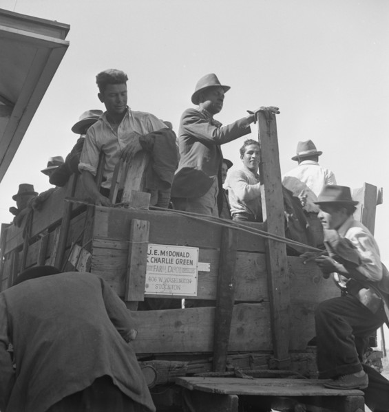 Gangs of single men, pea pickers, transported to fields..., Stanislaus County, CA, 1939. Creator: Dorothea Lange.