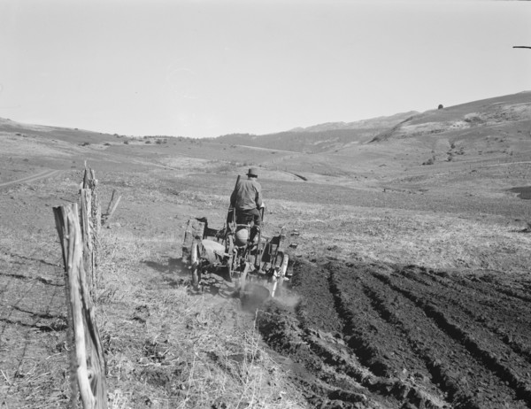 Young Idaho farmer plowing...Ola self-help sawmill co-op..., Gem County, Idaho, 1939. Creator: Dorothea Lange.