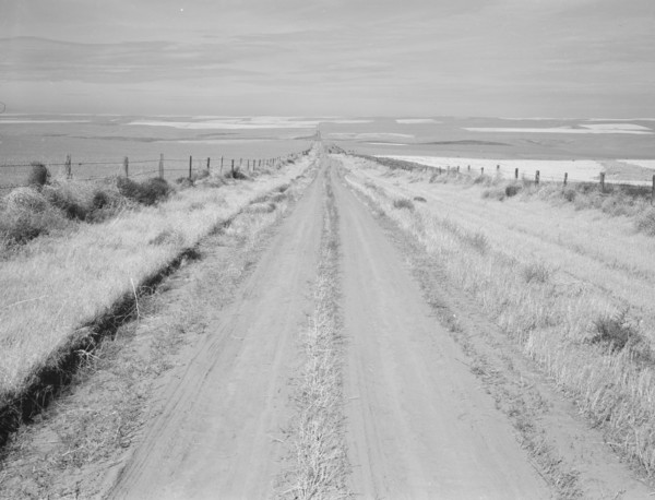 Western wheat country in a region which yields over twenty five..., Umatilla County, Oregon, 1939. Creator: Dorothea Lange.