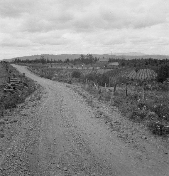 Another cut-over farm located across the road from Kytta place, Michigan Hill, Washington, 1939. Creator: Dorothea Lange.