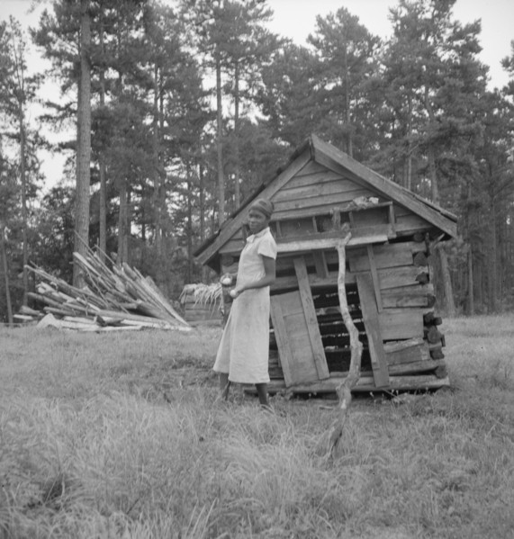 Tobacco sharecropper's daughter getting eggs from hen's nest..., Person County, North Carolina, 1939 Creator: Dorothea Lange.