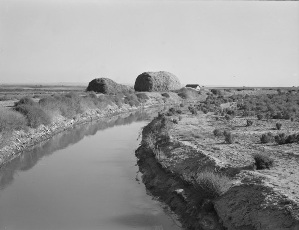 Irrigation canal and the preacher's farm, Dead Ox Flat, Malheur County, Oregon, 1939. Creator: Dorothea Lange.