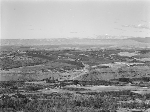 Possibly: Looking down on part of the Valley, approximately six miles from Yakima, Washington, 1939. Creator: Dorothea Lange.