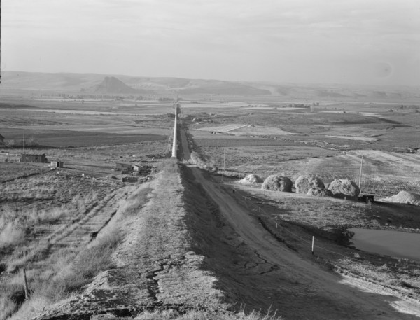 Siphon - the world's longest - which carries water 5 miles to Dead Ox Flat, Oregon, 1939. Creator: Dorothea Lange.