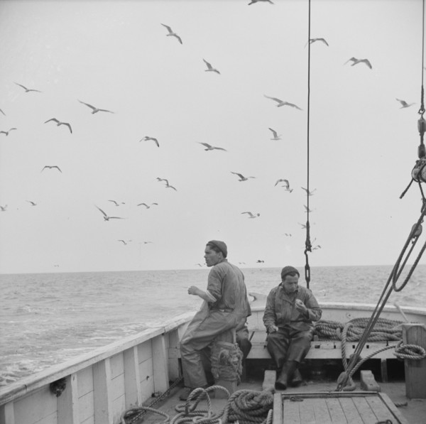 On board the fishing boat Alden, out of Gloucester, Massachusetts, 1943. Creator: Gordon Parks.