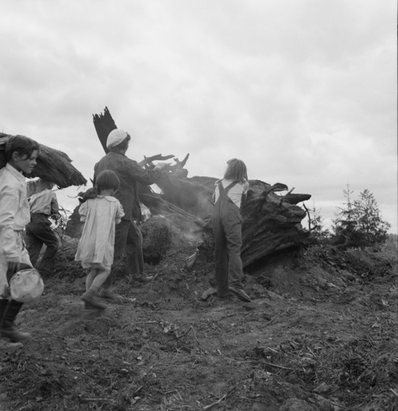 Possibly: Mrs. Arnold and her children before the stump pile, Michigan Hill, Washington, 1939. Creator: Dorothea Lange.