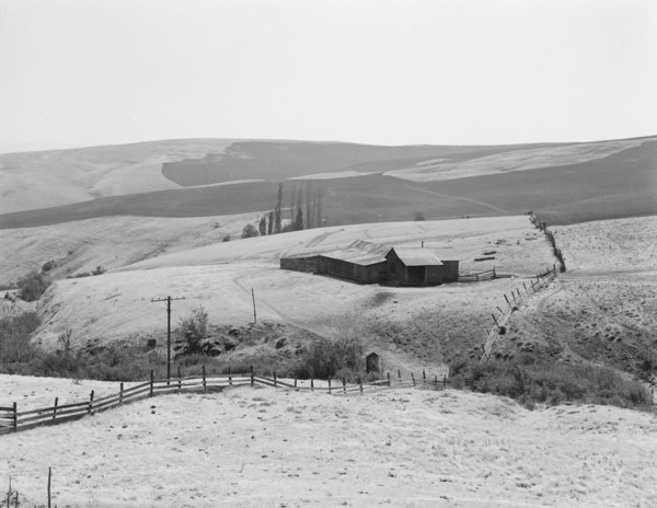 Possibly: Desert stock farm, south central Washington, in region...land has been overgrazed, 1939. Creator: Dorothea Lange.