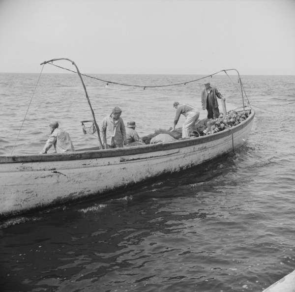 Possibly: On board the fishing boat Alden, out of Gloucester, Massachusetts, 1943. Creator: Gordon Parks.