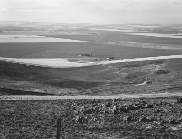 Looking down the newly plowed wheat fields of the Umatilla Valley, Oregon, 1939. Creator: Dorothea Lange.