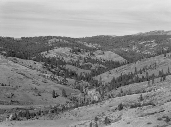 Upper end of Squaw Creek Valley..., Ola self-help sawmill co-op, Gem County, Idaho, 1939. Creator: Dorothea Lange.