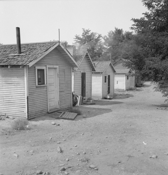 Yakima shacktown, (Sumac Park) is one of several large shacktown communities..., Washington, 1939. Creator: Dorothea Lange.