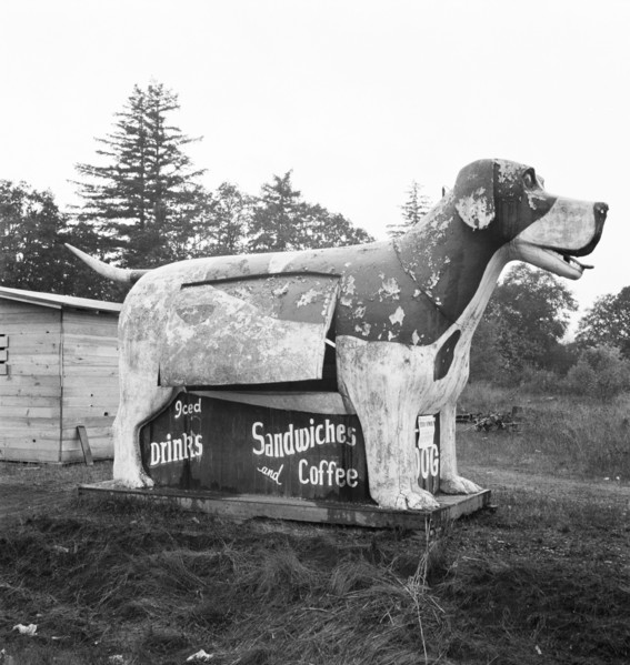 On U.S. 99 as it continues through Oregon, Lane County, Williamette Valley, Oregon, 1939. Creator: Dorothea Lange.