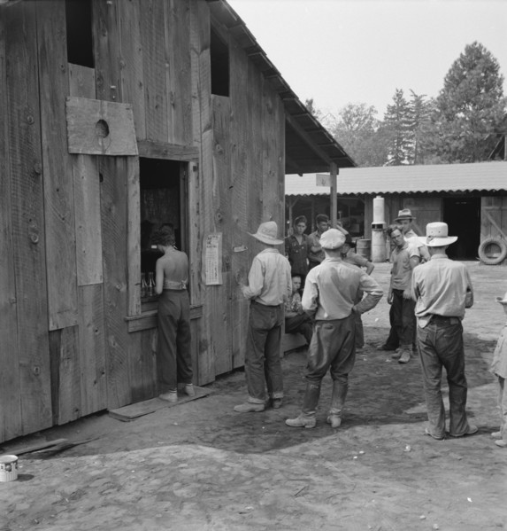 Part of line up at paymaster's window at noon..., near Grants Pass, Josephine County, Oregon, 1939. Creator: Dorothea Lange.