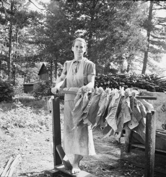 Wife of tenant farmer, Mrs. Oakley, works..., Granville County, North Carolina, 1939. Creator: Dorothea Lange.