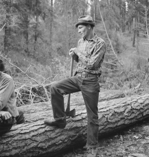 Possibly: Member of the co-op in the woods, Ola self help cooperative..., Gem County, Idaho, 1939. Creator: Dorothea Lange.