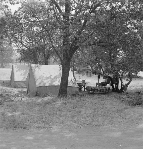 The grower provided clean tents and a shady..., near Grants Pass, Josephine County, Oregon, 1939. Creator: Dorothea Lange.