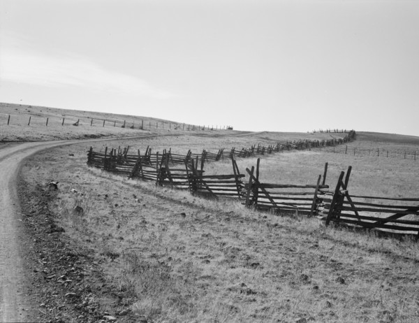 Road going up Squaw Creek Valley, leaving Ola, Ola self-help sawmill co-op, Gem County, Idaho, 1939. Creator: Dorothea Lange.