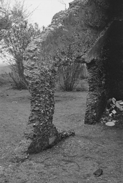 Possibly: Tabby construction, ruins of supposed Spanish mission, St. Marys, Georgia, 1936. Creator: Walker Evans.