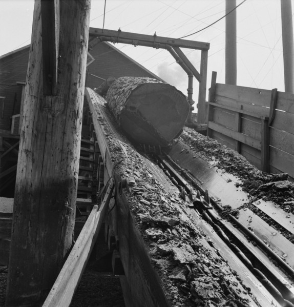 At Pelican Bay Lumber mill logs enter the mill by...near Klamath Falls, Klamath County, Oregon, 1939 Creator: Dorothea Lange.
