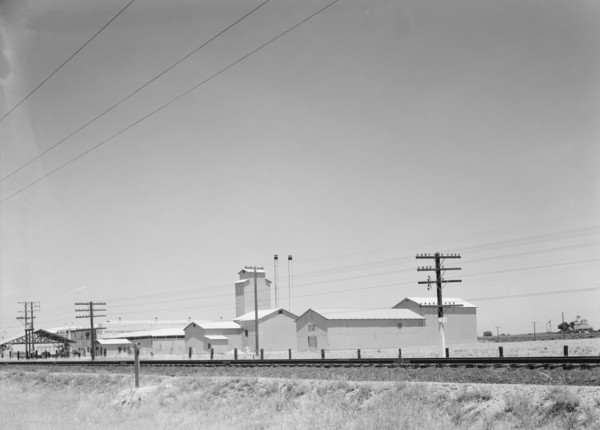 Winery belonging to Muscat Cooperative, on US 99. between Tulare and Fresno, California, 1939. Creator: Dorothea Lange.