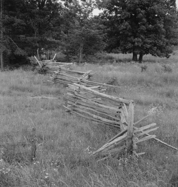 Rail fence with poor barbed wire fence in foreground, Person County, North Carolina, 1939. Creator: Dorothea Lange.