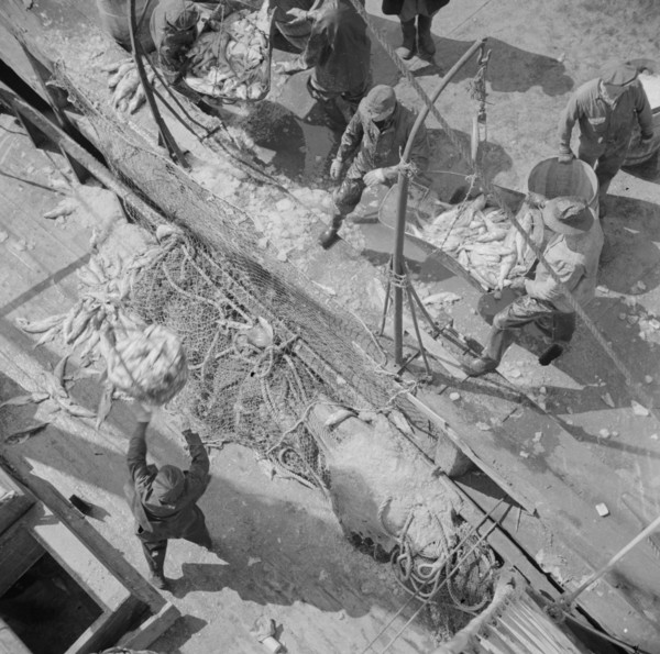 Fulton fish market dock stevedores unloading and weighing fish in the early morning, New York, 1943. Creator: Gordon Parks.