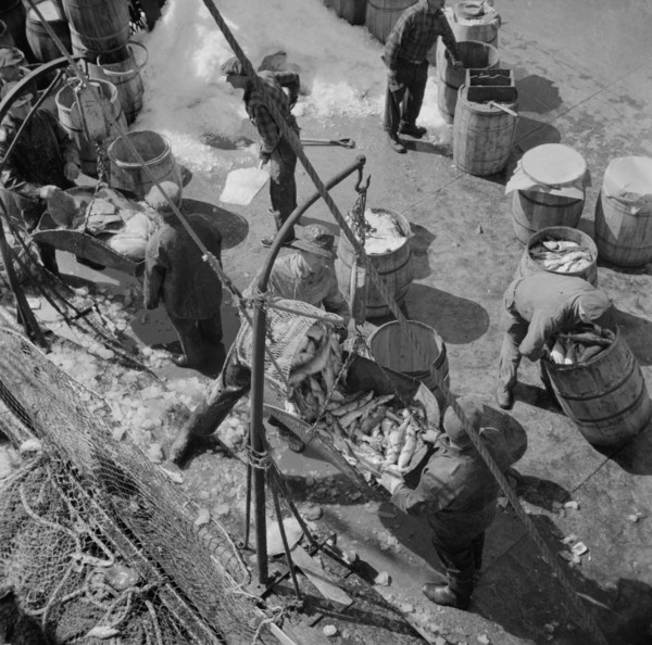 Fulton fish market dock stevedores unloading and weighing fish in the early morning, New York, 1943. Creator: Gordon Parks.