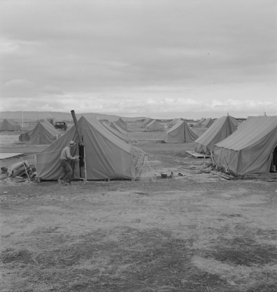 Migrant camp, Merrill, Klamath County, Oregon, 1939. Creator: Dorothea Lange.