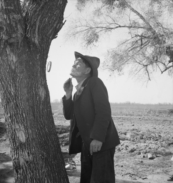 On U.S. 99 between Bakersfield and the Ridge, en route to San Diego, 1939. Creator: Dorothea Lange.