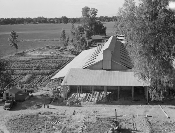 Tulare County. Mineral King Farm Cooperative Association. New barn under construction. California.