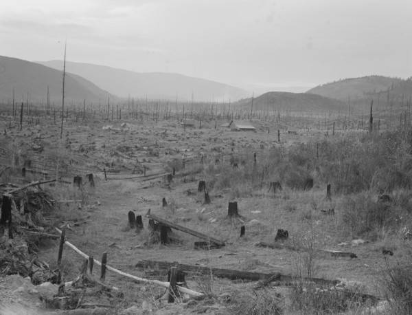 Another stump farm, fenced, showing general characteristics of the valley. Bonner County, Idaho.