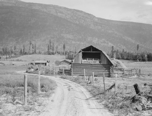 Farm of FSA (Farm Security Administration borrower). Land clearing loan. Boundary County, Idaho.