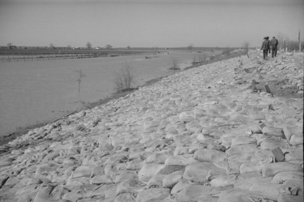The Bessie Levee augmented with sand bags during the 1937 flood. Near Tiptonville, Tennessee.
